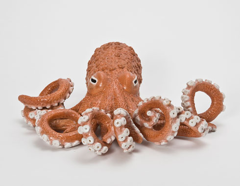 octopus